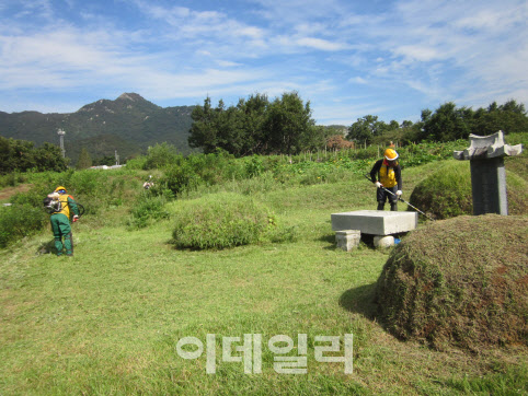 산림조합중앙회, 벌초·묘지관리 대행서비스 실시