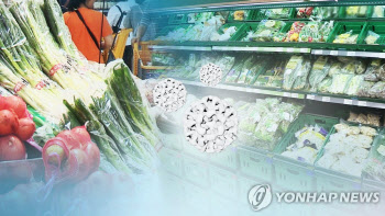 장마 끝 폭염에 '식중독' 걱정이네요···"냉장고도 만능 아냐"