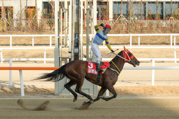 국내 최고 암말 '퀸즈투어' 첫 승자 가린다