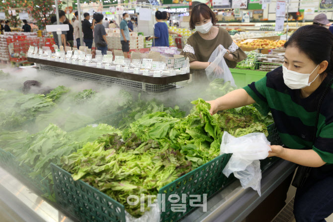 [포토] 채소값 급등