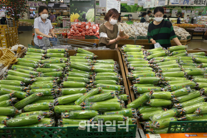 [포토] 장마·태풍으로 신선채소값 폭등