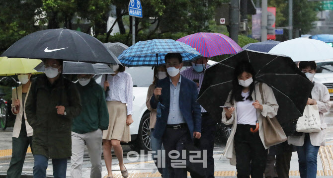 [포토]제10호 태풍 '하이선' 영향으로 내리는 비