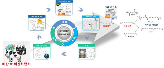 '온실가스' 주성분 메탄서 식품소재와 바이오플라스틱 원료 만든다