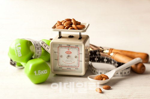 [포토] 홈트족을 위한 단백질 식품