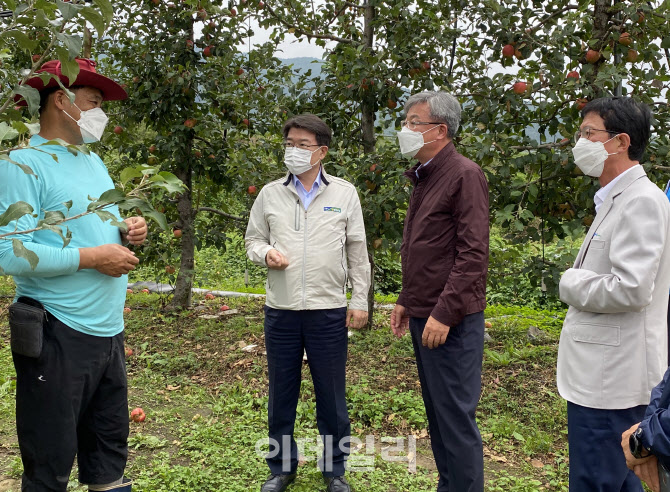 [포토] 태풍피해 사과농가 방문한 장철훈 대표