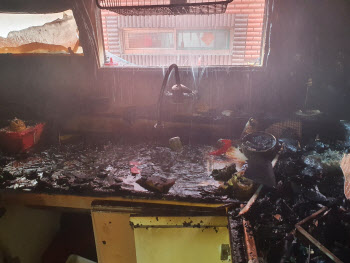  "추미애 아들보다 라면 형제가 더 큰 문제"