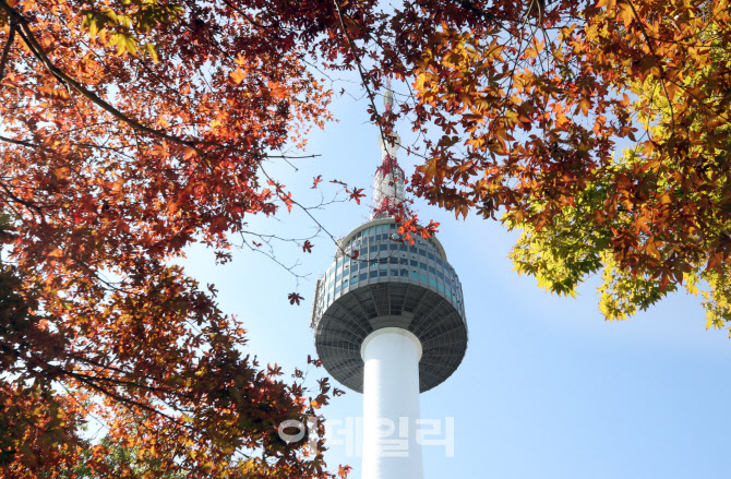 [포토]가을 단풍 찾아온 남산