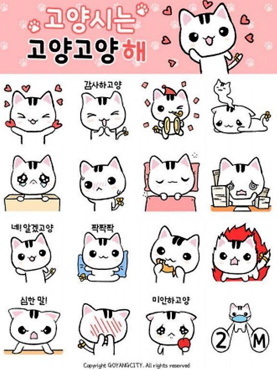 "고양고양이에 투표해주세요"