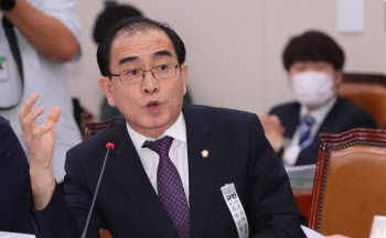 태영호 "북한, 국제형사재판소에 고발하자"