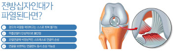 군생활 가로막는 십자인대 파열, 방치하면 더 큰 병 불러...
