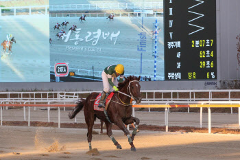 한국경마 지존 '트리플나인' 경주로 떠나 인생 2막