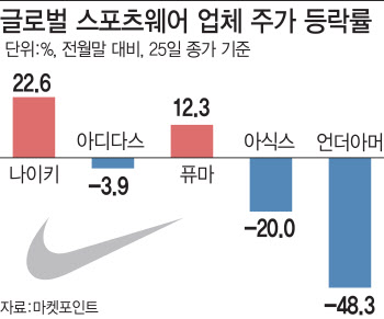 '나이키·에르메스·로레알만 ↑'…가만 있어도 홍보되는 1등株의 힘