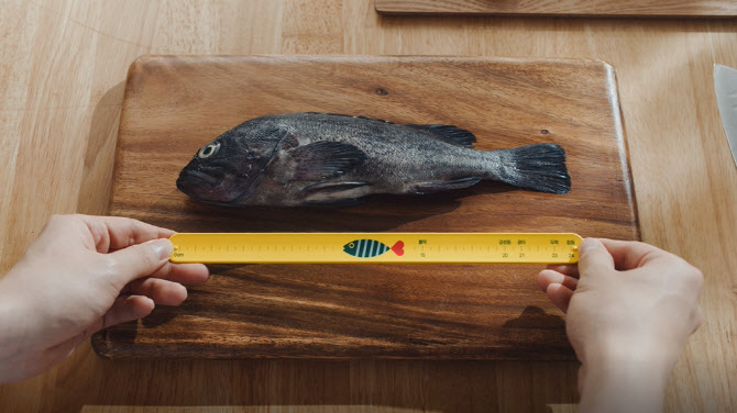 "어린물고기 사먹지 마세요"…해수부, 치어 소비중단 캠페인