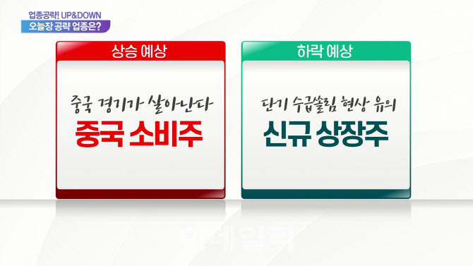 [업종공략] 중국소비주, 신규상장주, 신세계