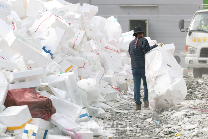 [포토]언택트 추석으로 스티로폼 재활용 쓰레기 증가