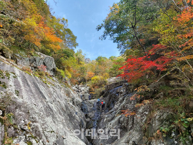 '가을 행락철' 교통사고 급증…경찰, 단풍명소 등 집중단속