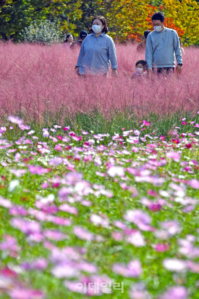 [포토]가을 산책