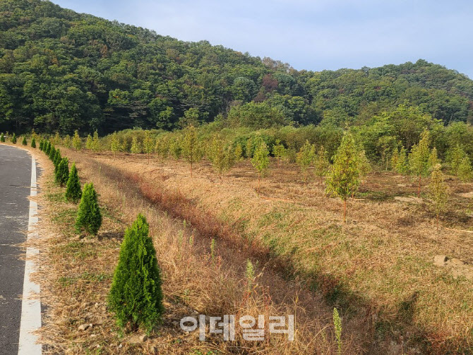 유한킴벌리, 육군-평화의숲과 ‘평화의 숲’ 조성