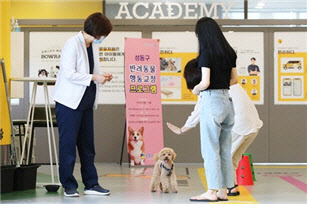 성동구, 반려견 문제행동 일대일 맞춤형 교정해요