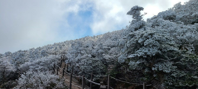 제주 한라산에 올가을 들어 첫선 보인 상고대