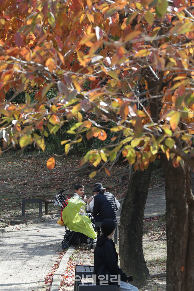 [포토]단풍과 함께 가을 추억