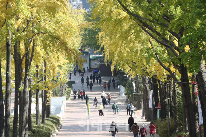 [포토]절정으로 향하는 가을, 단풍 나들이