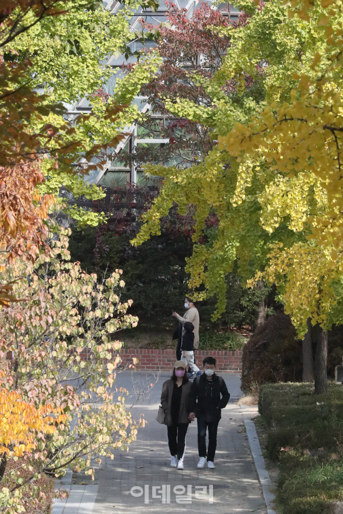[포토]가을 사이로 걸어요