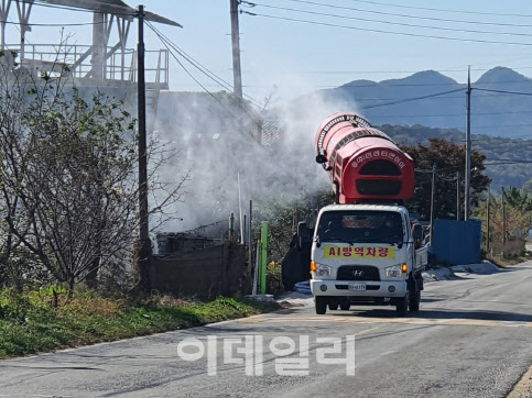 충남 천안서 2.8년만에 고병원성 AI…충청권 지자체 '초비상'