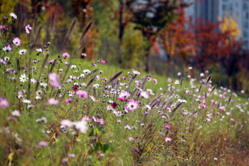 아침 최저 기온 1도까지 '뚝'…경기 동부 등 아침 짙은 안개도
