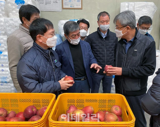 [포토] 사과 수확 상황 점검하는 장철훈 대표