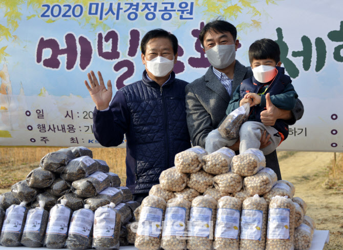 [포토] 미사경정공원 메일수확 체험행사