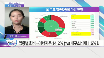  백신 기대감에 항공·여행 관련주 '들썩'