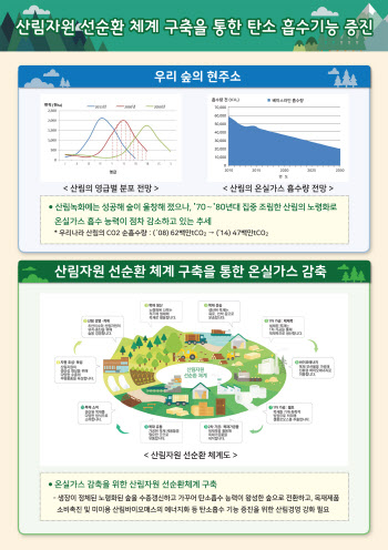가꾸는 숲으로 바꾼 20년 결실…국민 1인당 年 428만원 수혜