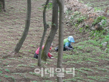 "귀농·귀촌 전에 지식재산권 확보부터 챙기세요"
