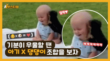 사랑할 수 밖에 없는 아기와 강아지 교감 모음(영상)