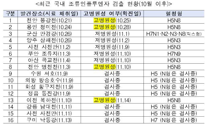 가금농장 AI 차단방역 강화, 경기·강원 돼지 재입식 재개