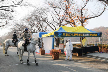 마사회, 과천 경마공원서 승마대회·품평회 개최