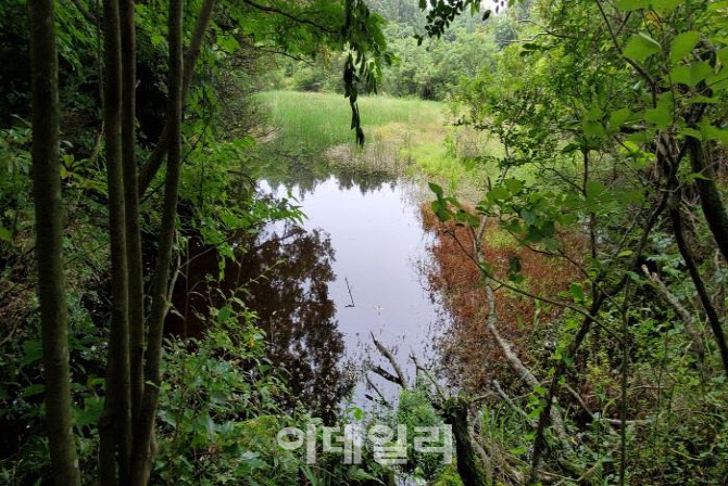 "자연유산 체계적 보호 위한 법률 제정해야 돼"