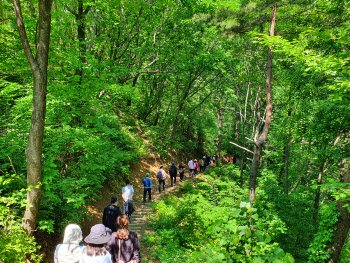 산림청, 제3회 산림치유 프로그램 경진대회 개최