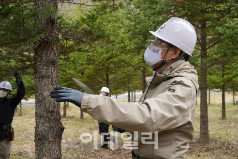 [포토]박종호 산림청장, 전북 무주서 숲가꾸기 1일 체험행사