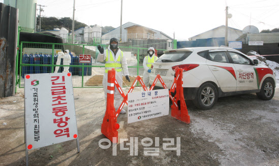 ″16년 겨울 악몽 되풀이 않는다″…지자체들 조류독감 방역에 사활