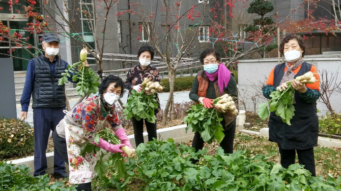 구리시 ′도시농부 아파트 텃밭′ 큰 인기