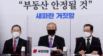김종인, 김희국·유경준에 부동산 대안 마련 지시