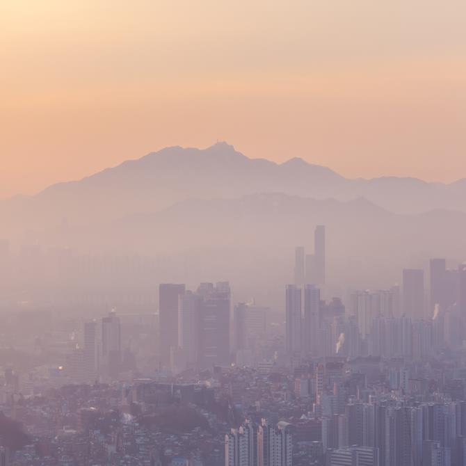 [카드뉴스]지긋지긋한 겨울 실내 미세먼지 해결사 반려식물6