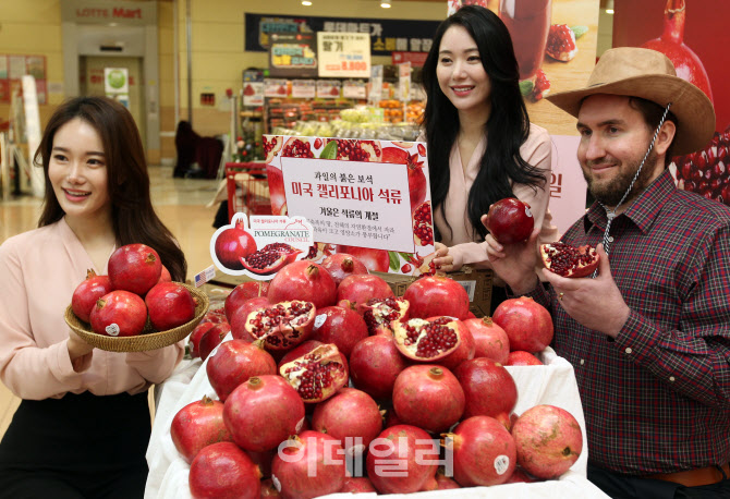 [포토] 과일의 여왕 석류 출시