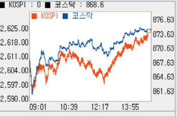 2620선도 넘었다…외국인·개인 쌍끌이에 또 사상최고
