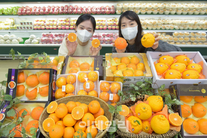 [포토] 만감류 출시