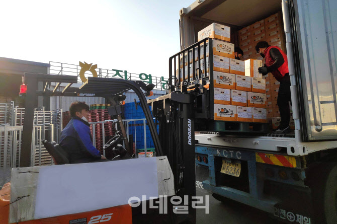 [포토] NH농협무역, 러시아에 농산물 8개 품목 16톤 수출