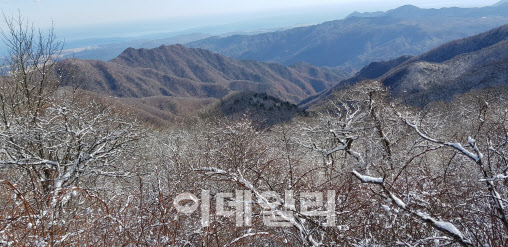 산림청, 이달의 추천 국유림 명품숲으로 '향로봉' 선정