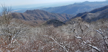 산림청, 이달의 추천 국유림 명품숲으로 '향로봉' 선정